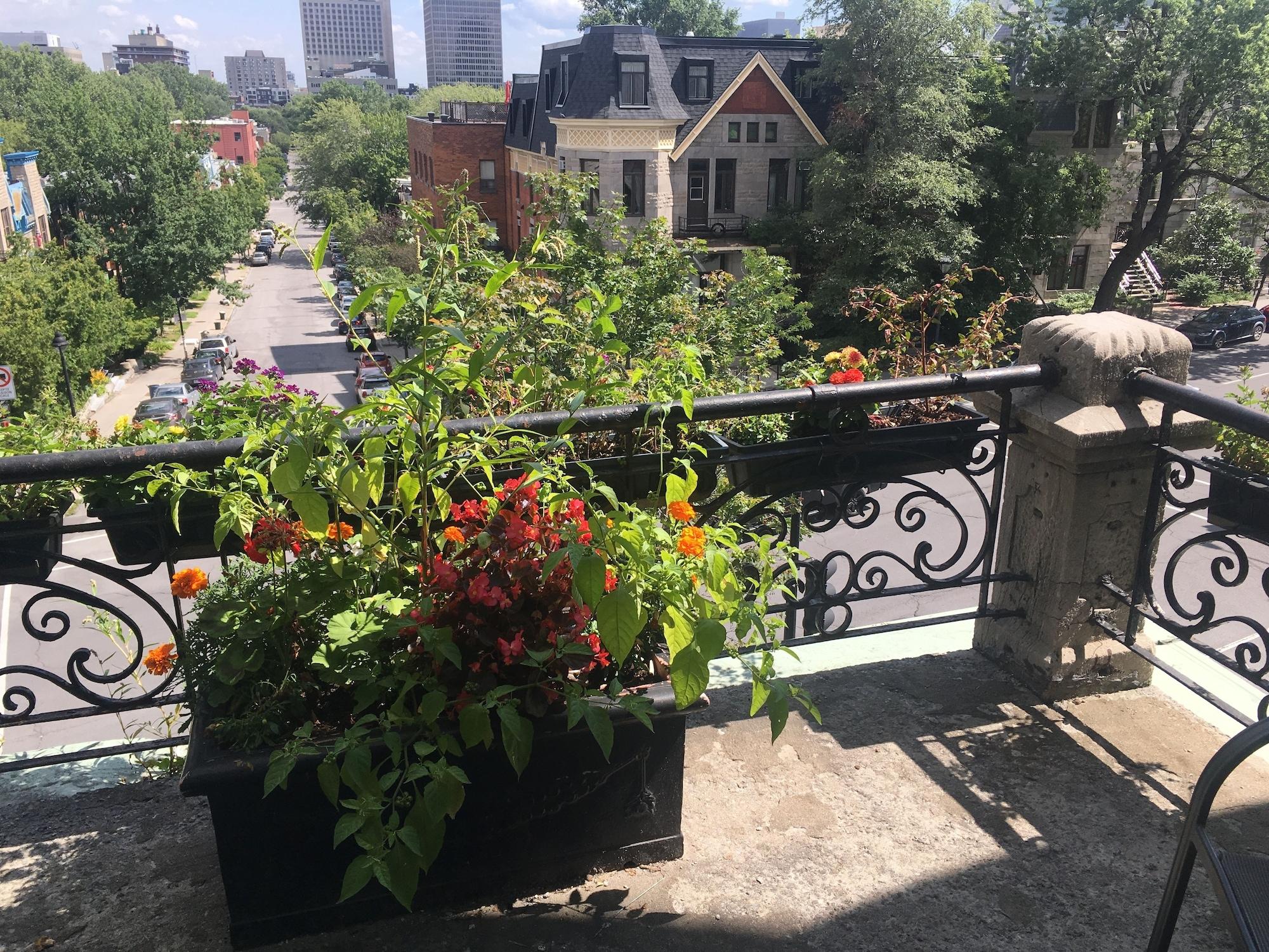 Hotel De Paris Montreal Ngoại thất bức ảnh